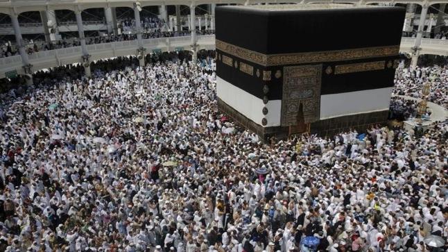 عمرو خليل: موسم الحج هو الأكثر كثافة هذا العام